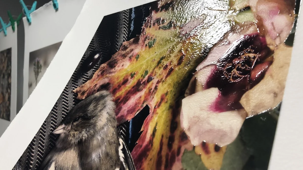 Silverwood Art Studio & Darkroom