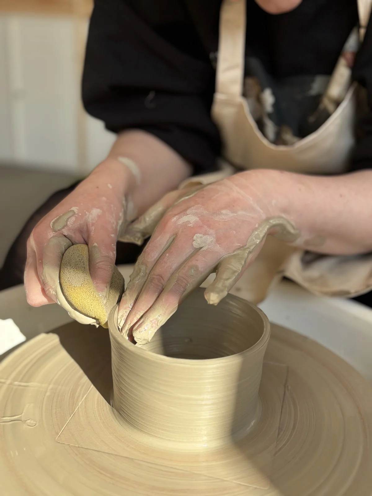 The Scarborough Pottery